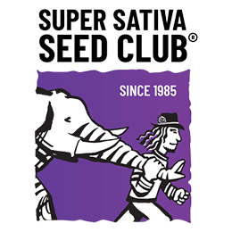 Super Sativa Seed Club